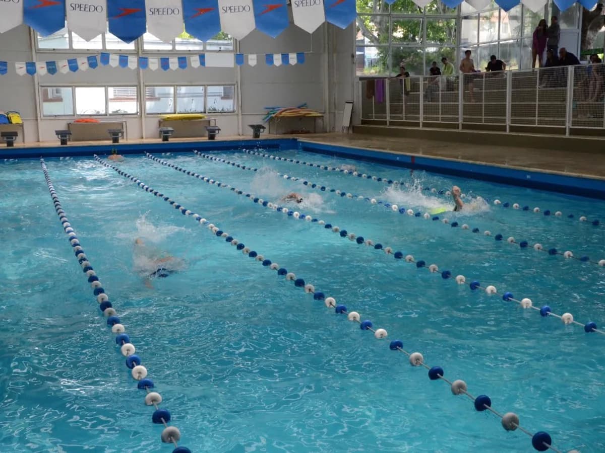 Natación - Pileta Colegio San Andrés